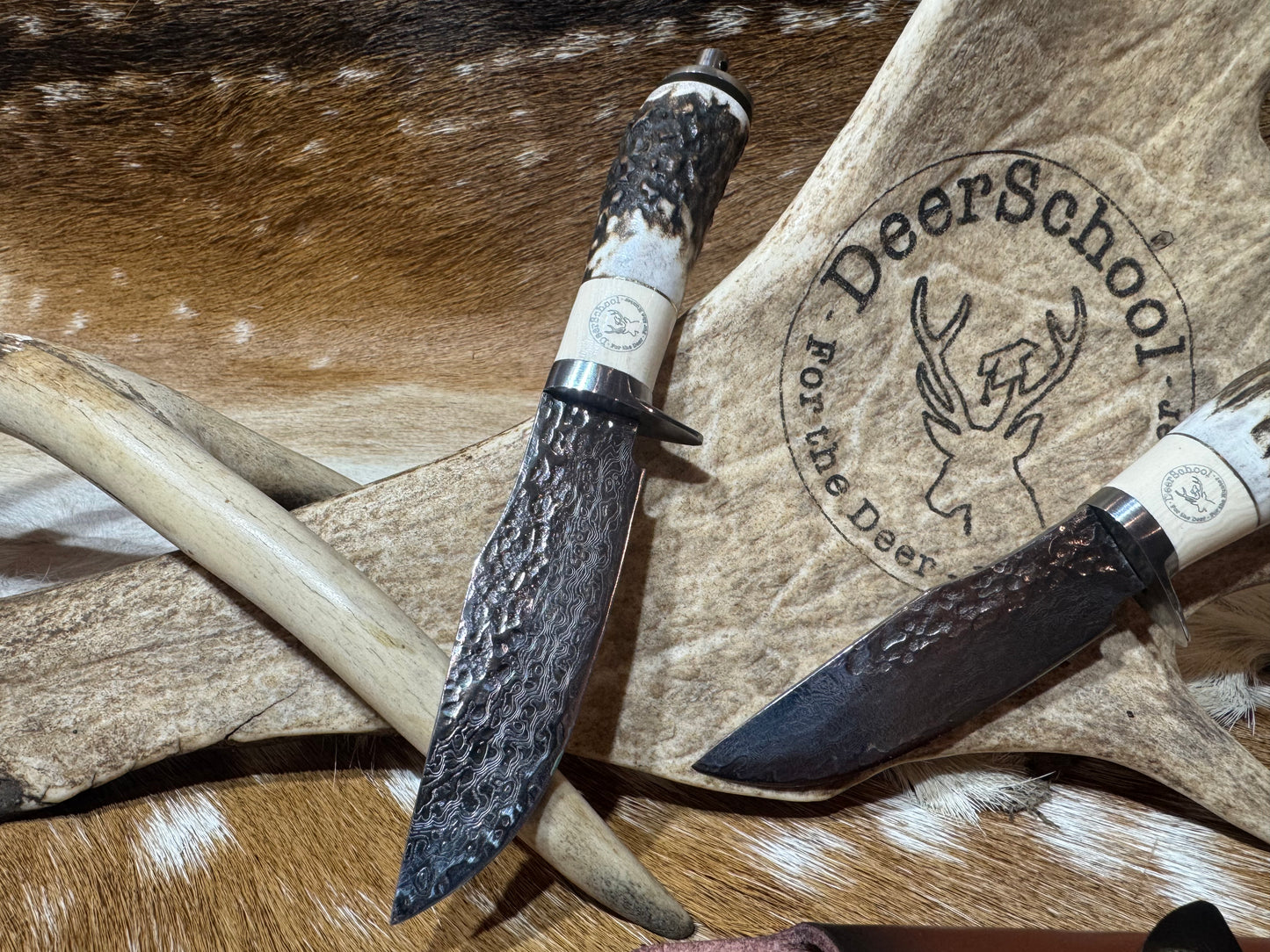 Red Deer Antler Handle Knife