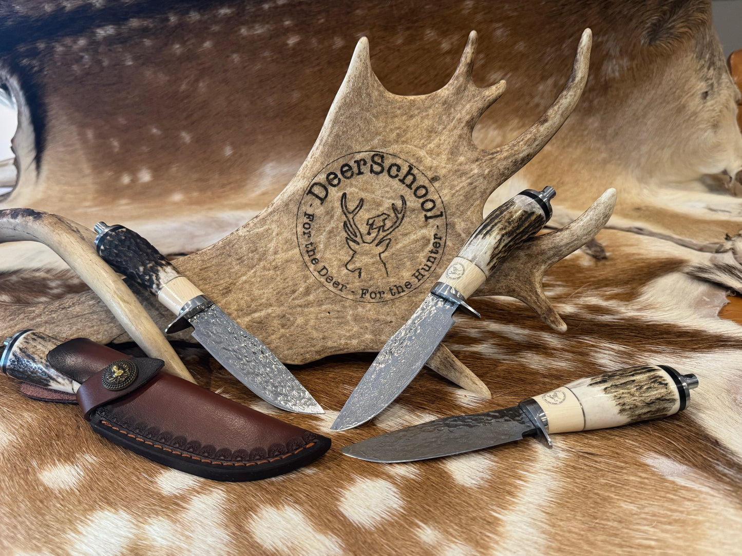 Red Deer Antler Handle Knife