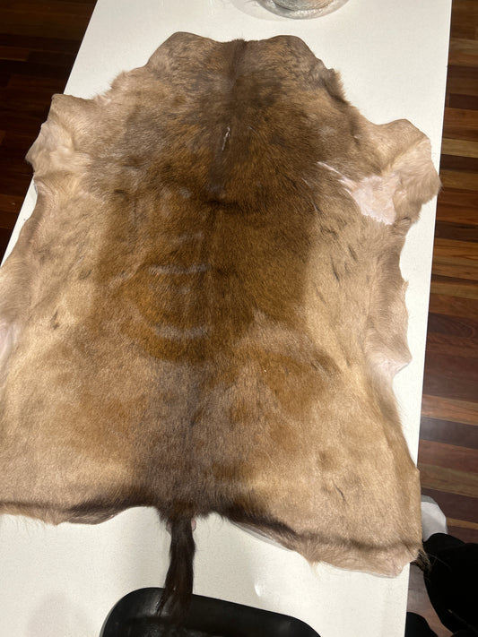 Red Hind Rug - Real