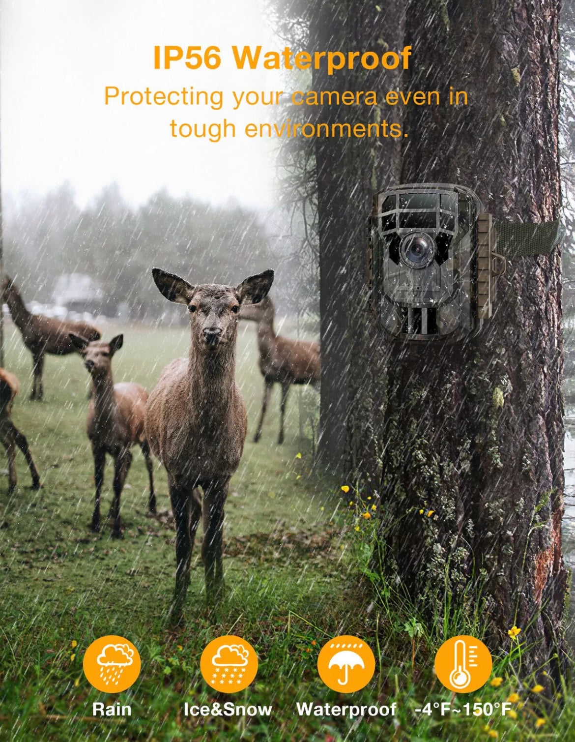 Game Camera