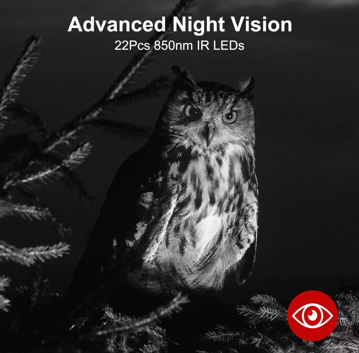 Game Camera