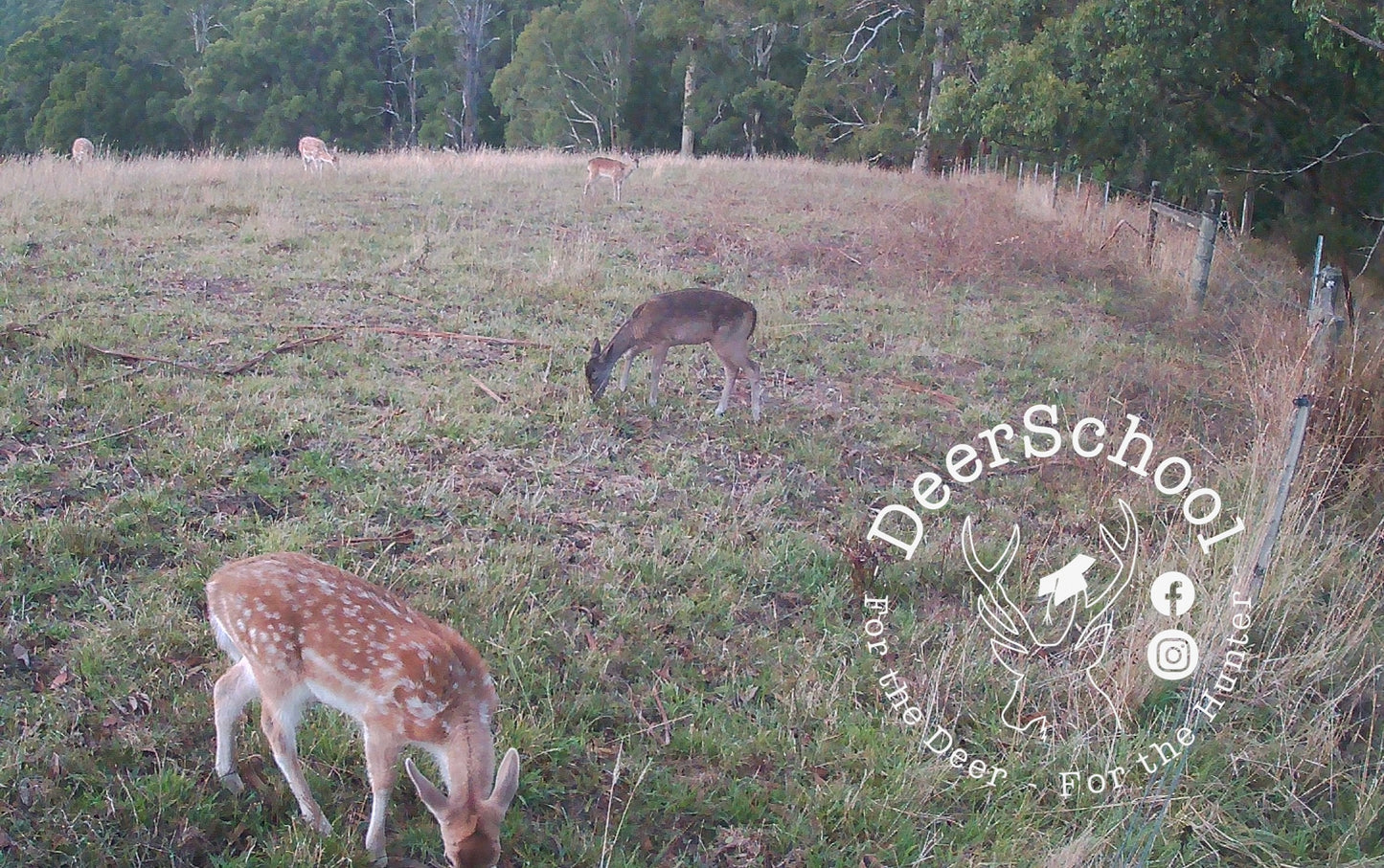Game Camera