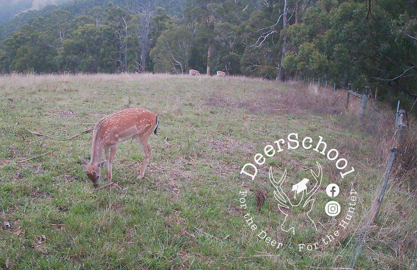 Game Camera