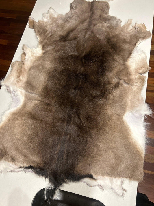 Fallow Deer chocolate Rug - Real - DeerSchool Der Laden