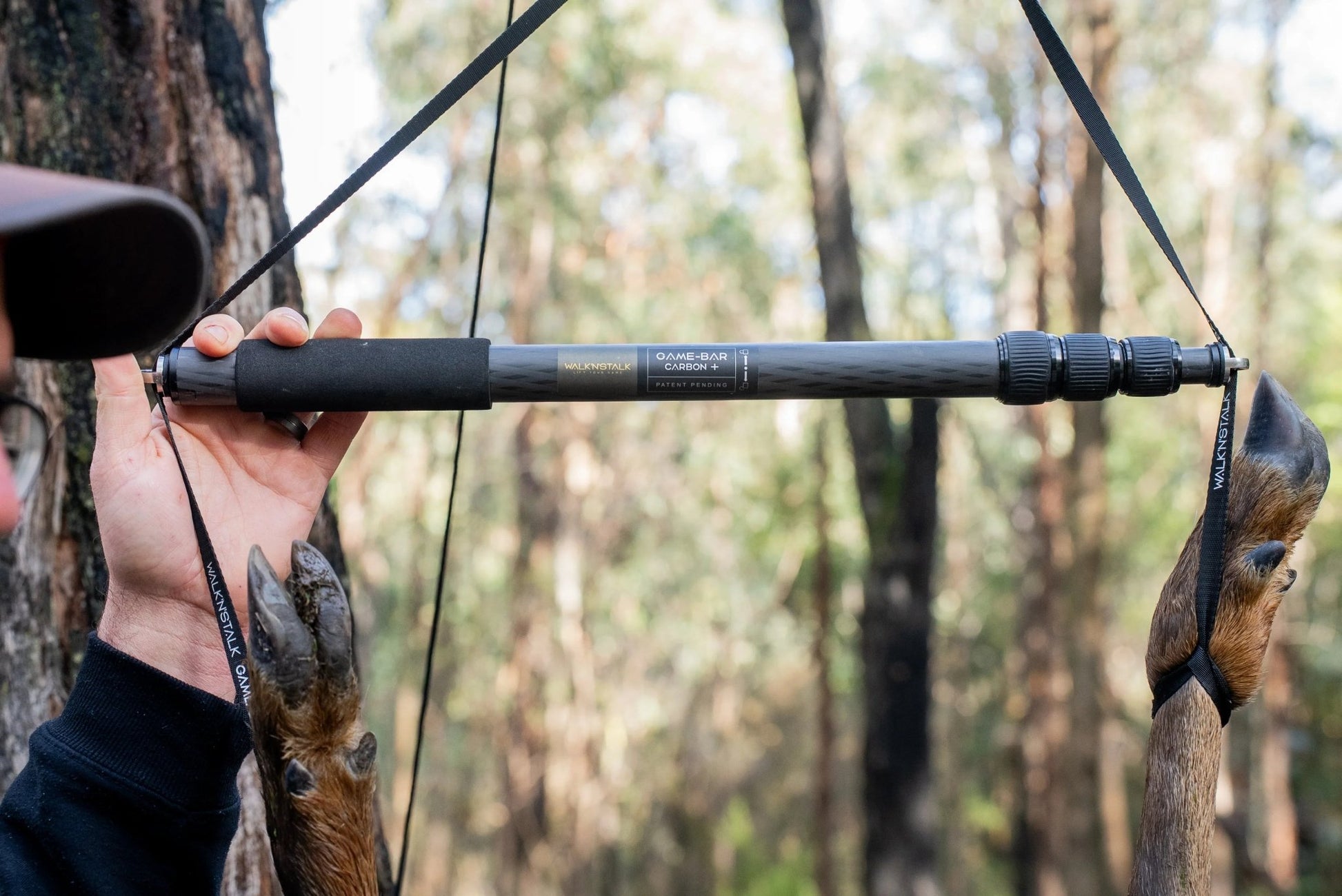 Game Bar supporting deer from tree