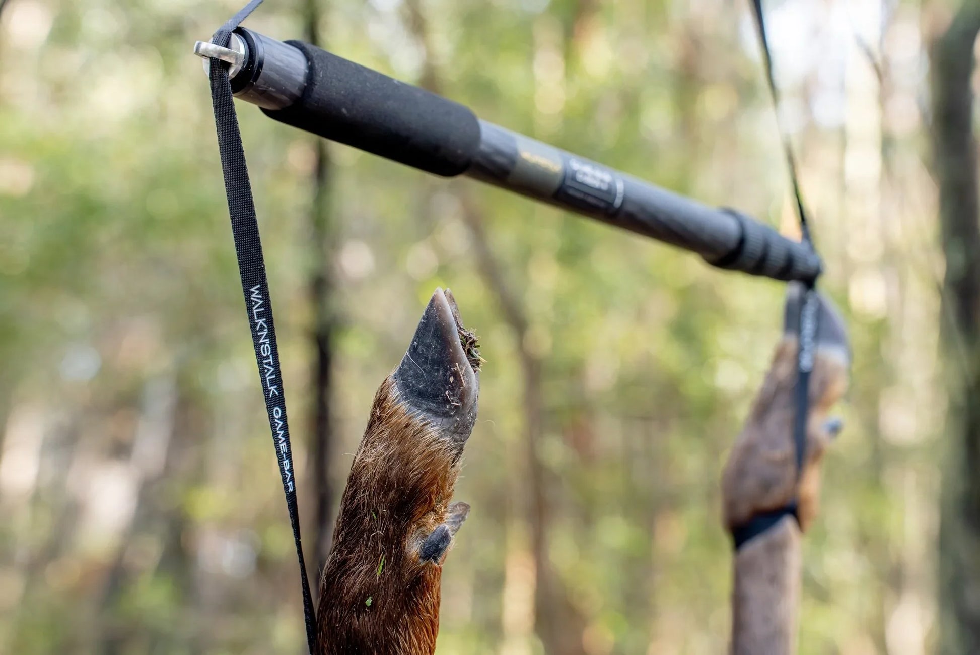 Game Bar Combo photo with deer hanging