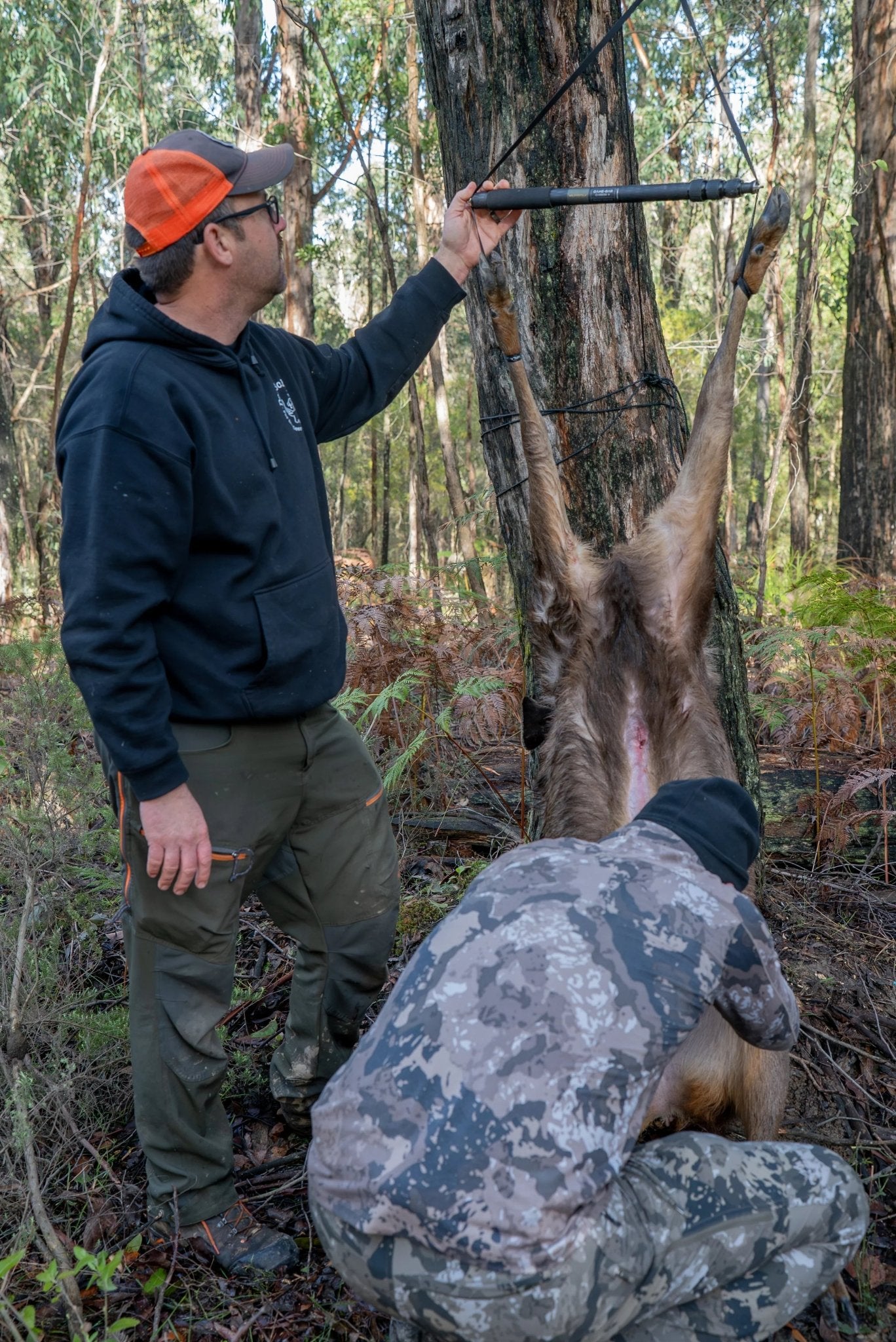Two hunters with a deer hanging from the Game Bar as they field dress it