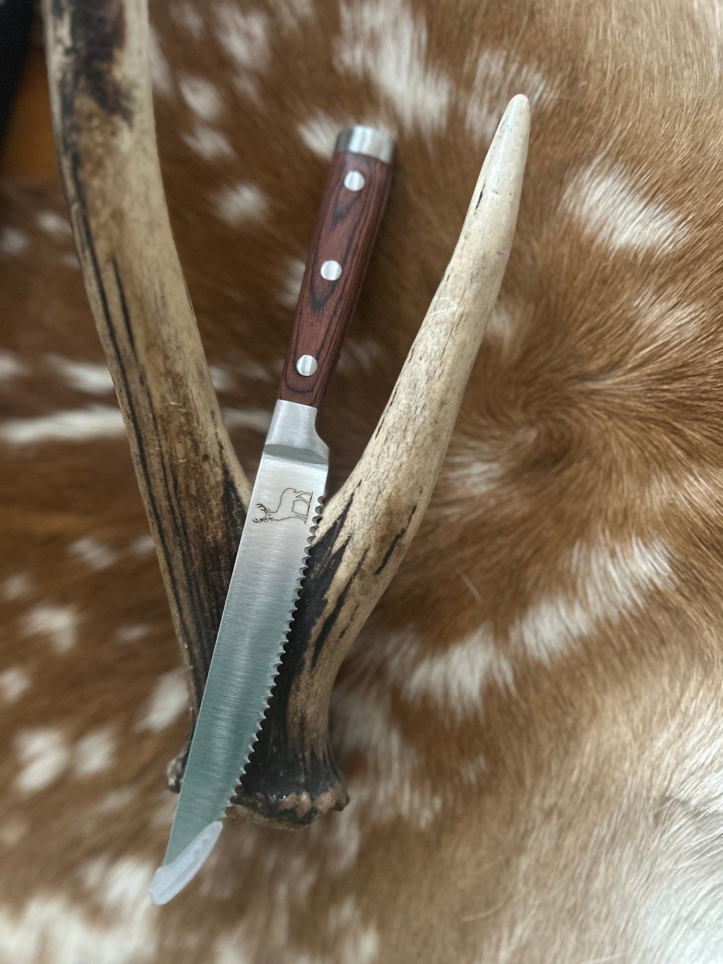 Venison Steak Knives - DeerSchool Der Laden