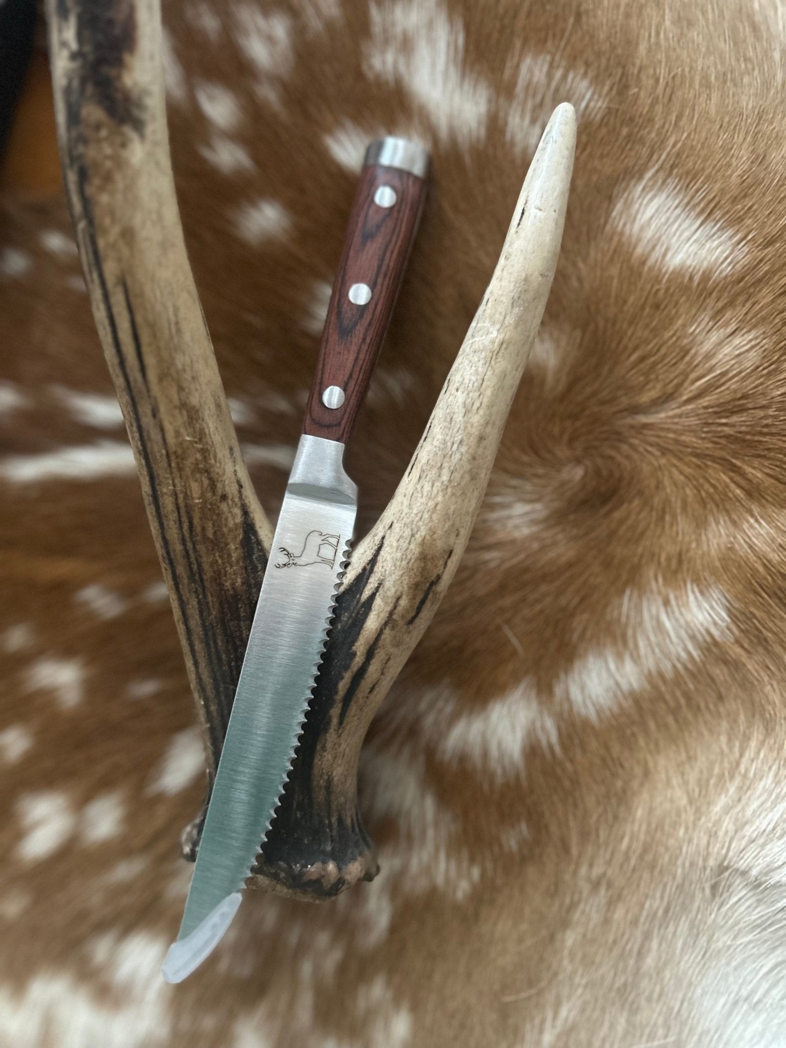 Venison Steak Knives - DeerSchool Der Laden