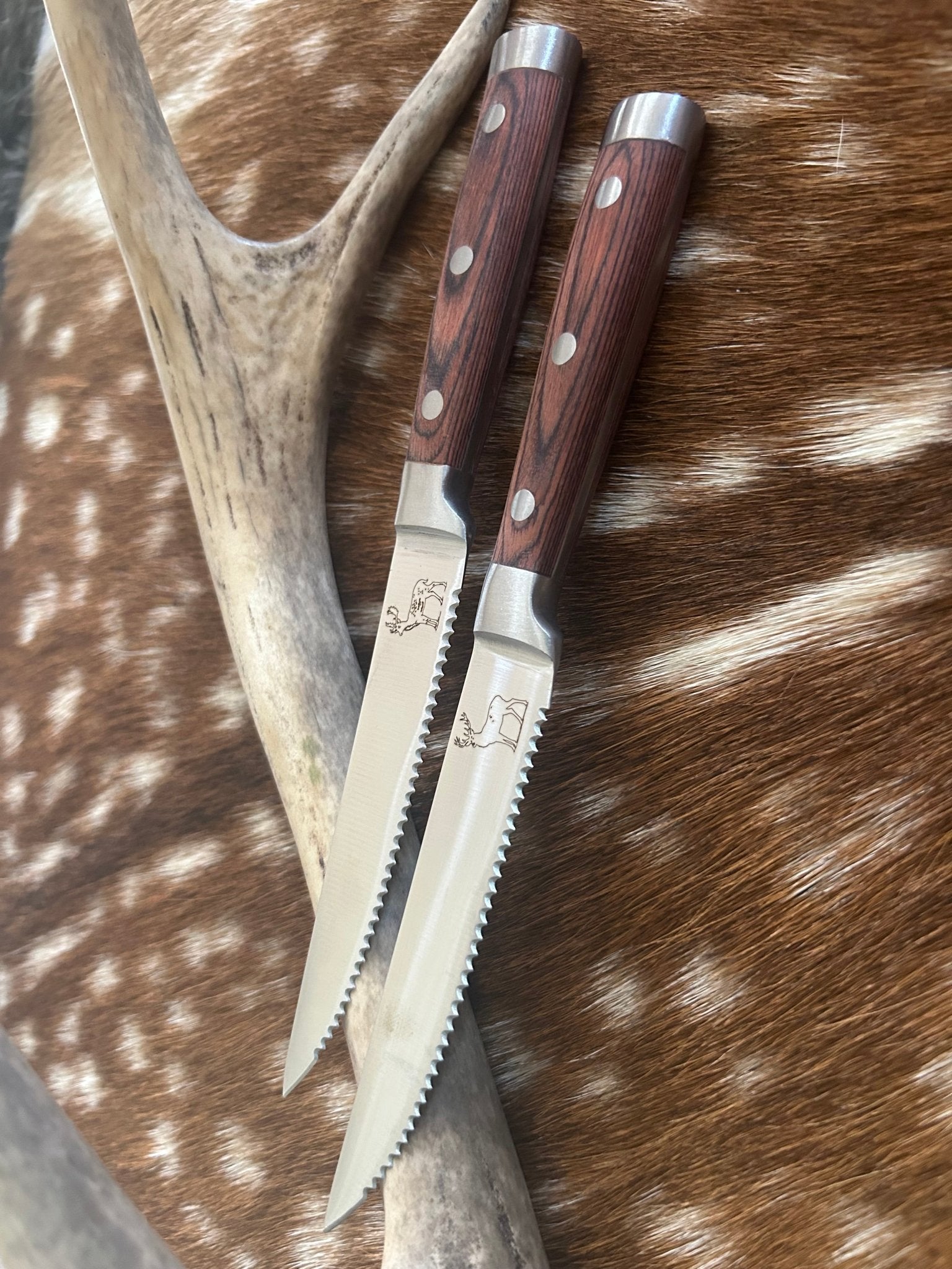 Venison Steak Knives - DeerSchool Der Laden