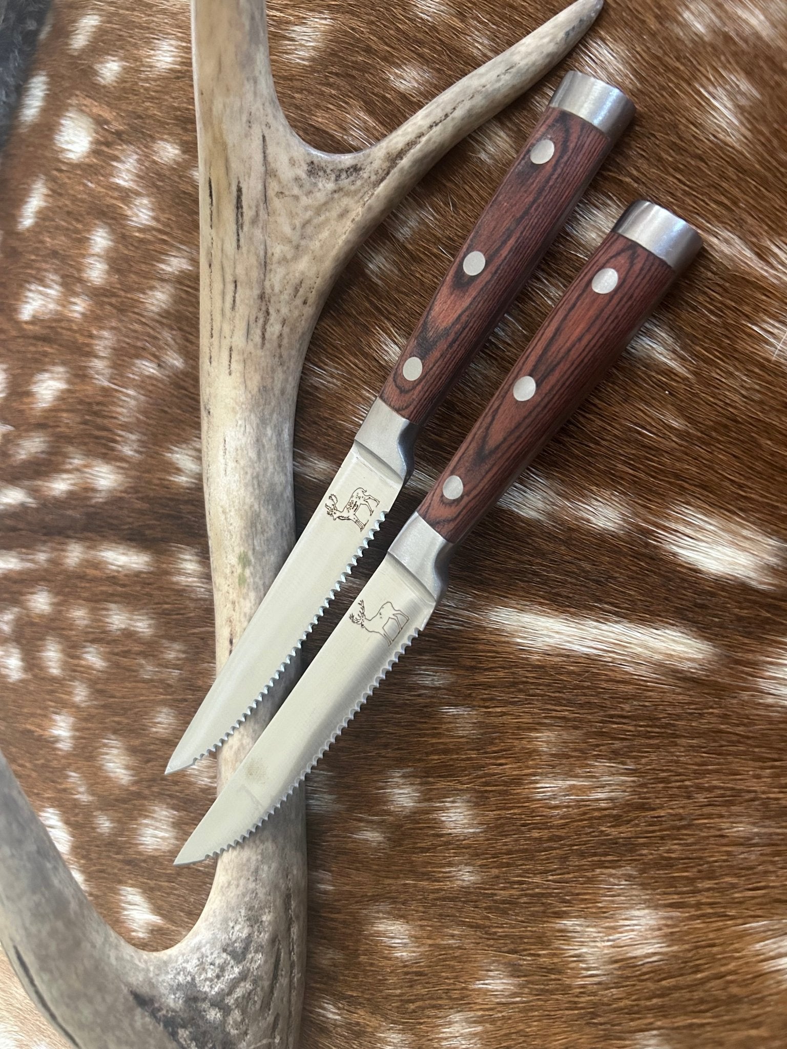 Venison Steak Knives - DeerSchool Der Laden