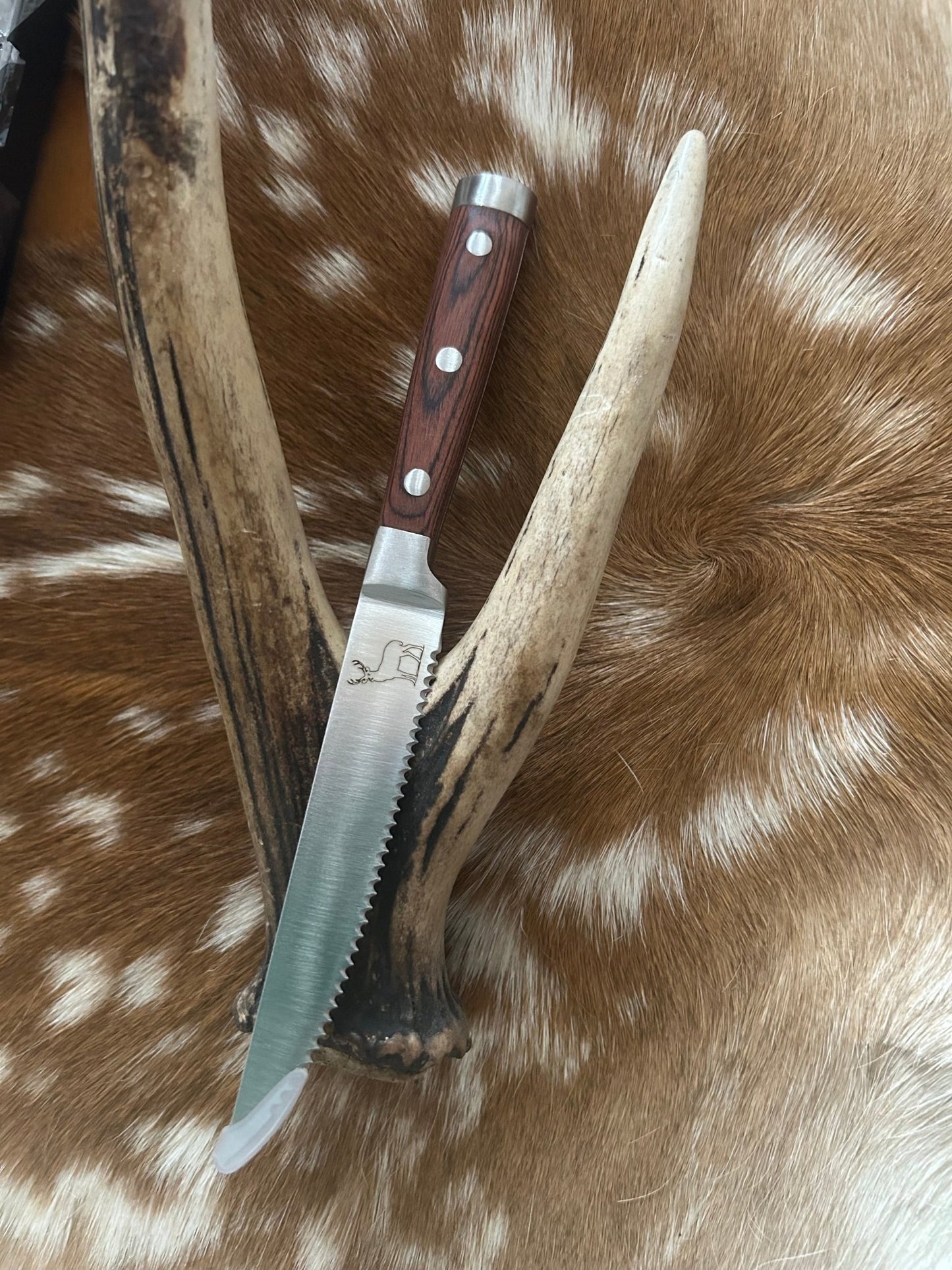 Venison Steak Knives - DeerSchool Der Laden